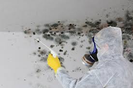 Environmental Consulting for Mold Prevention in Hudsonville, MI